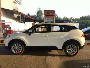 好看的国产精品